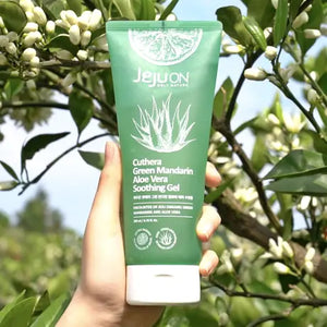 JEJUON - Cuthera Green Mandarin Aloe Vera Soothing Gel